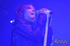 Europe-c-Roddy-McCorley-11