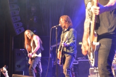 New-Roses-c-Roddy-McCorley-06